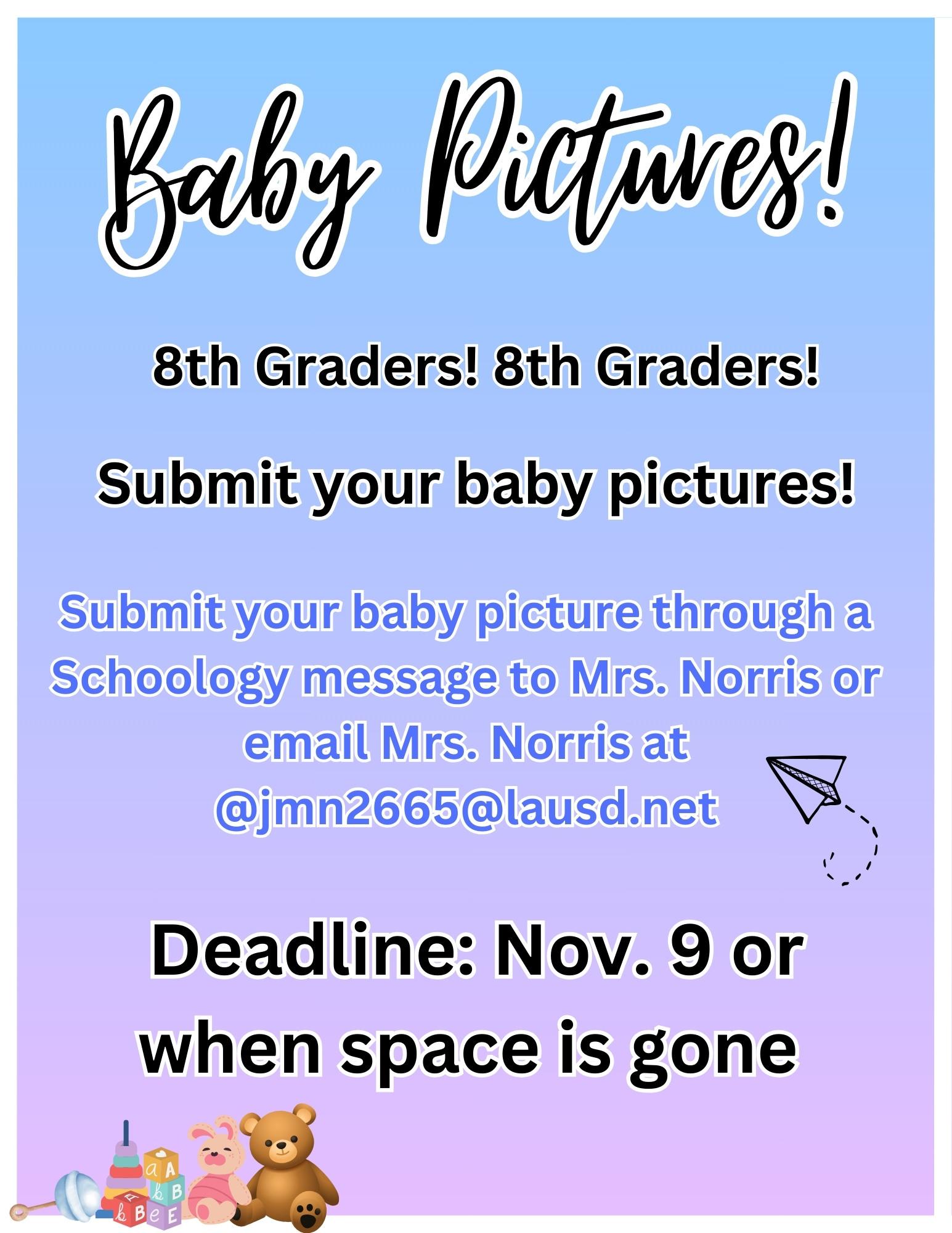 Baby Picture Flyer